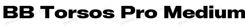 BB Torsos Pro Medium字体转换
